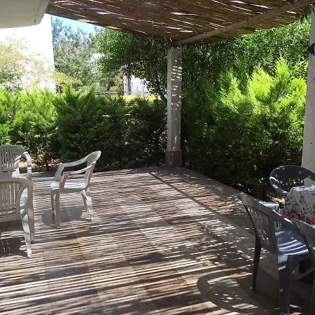 Fc - 2 トゥルグトレイス